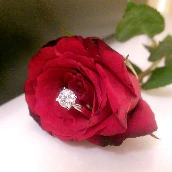 Rose Engaegment Ring