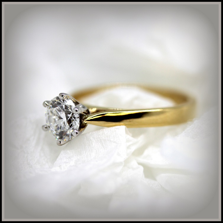 18ct Yellow and White Gold Solitaire Diamond set ring 18ct White Gold Torres Jewel Co